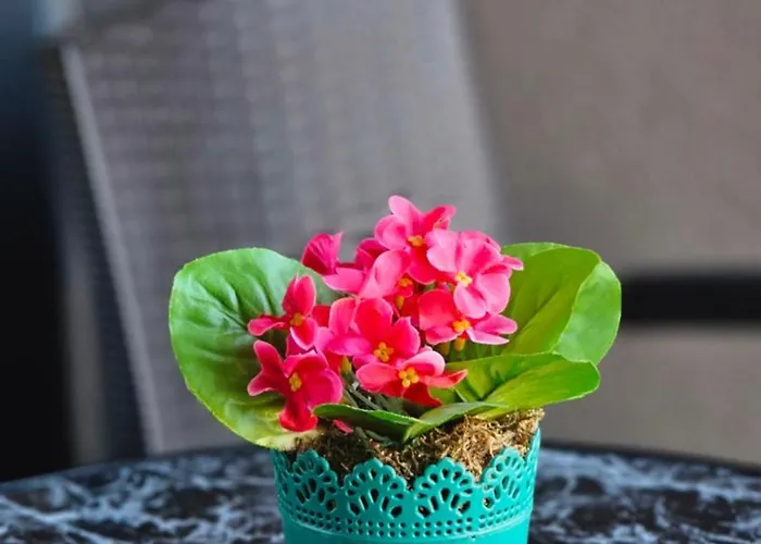 Prestige Bulevar Szarajevó